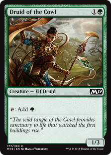 (image for) Druid of the Cowl (Foil)