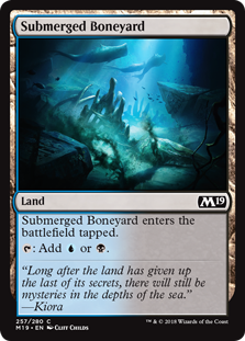 (image for) Submerged Boneyard (Foil)