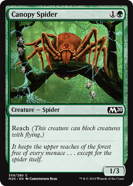 (image for) Canopy Spider