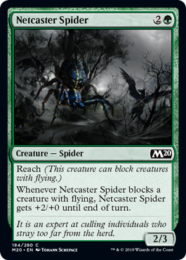 (image for) Netcaster Spider
