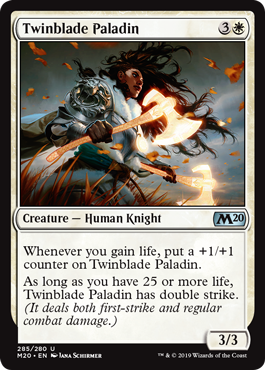 (image for) Twinblade Paladin