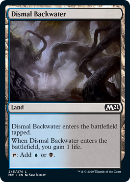 (image for) Dismal Backwater