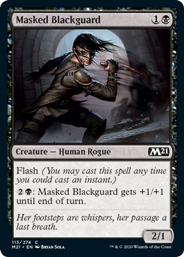 (image for) Masked Blackguard