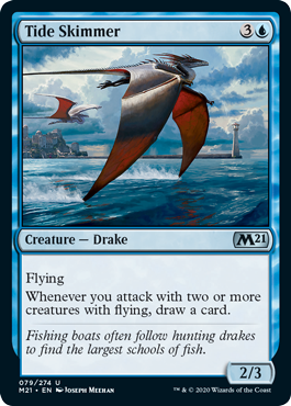 (image for) Tide Skimmer