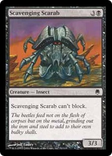 (image for) Scavenging Scarab