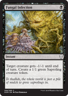(image for) Fungal Infection