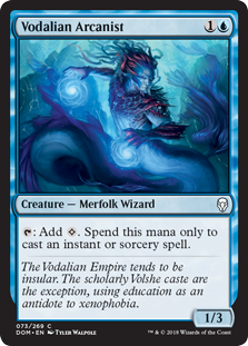 (image for) Vodalian Arcanist