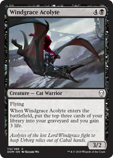 (image for) Windgrace Acolyte