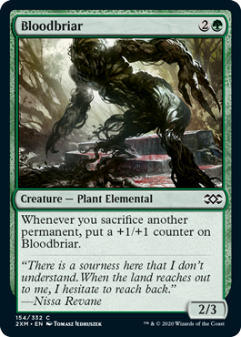 (image for) Bloodbriar (Foil)