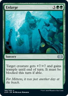 (image for) Enlarge (Foil)