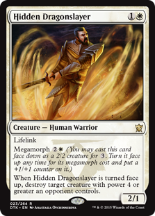 (image for) Hidden Dragonslayer