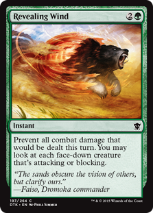 (image for) Revealing Wind
