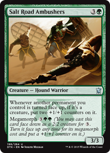 (image for) Salt Road Ambushers