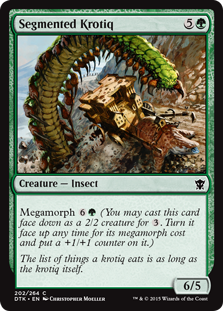 (image for) Segmented Krotiq