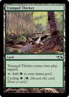 (image for) Tranquil Thicket