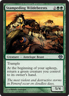 (image for) Stampeding Wildebeests