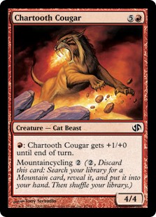 (image for) Chartooth Cougar