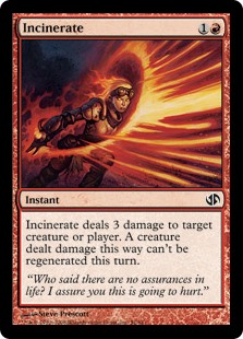 (image for) Incinerate