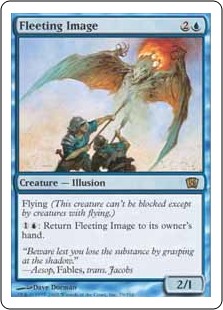 (image for) Fleeting Image