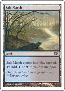 (image for) Salt Marsh