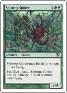 (image for) Spitting Spider