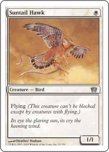 (image for) Suntail Hawk (Foil)
