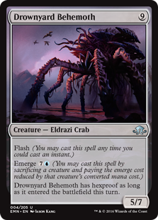 (image for) Drownyard Behemoth (Foil)