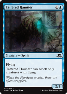 (image for) Tattered Haunter (Foil)