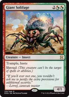 (image for) Giant Solifuge