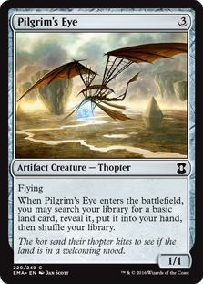 (image for) Pilgrim's Eye
