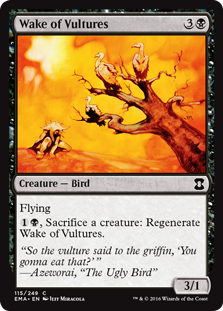 (image for) Wake of Vultures
