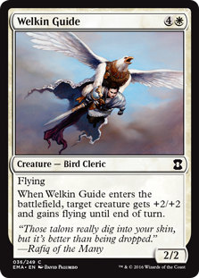 (image for) Welkin Guide