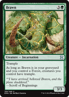(image for) Brawn (Foil)