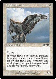 (image for) Welkin Hawk