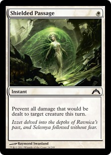 (image for) Shielded Passage
