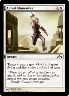 (image for) Aerial Maneuver (Foil)