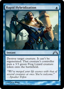 (image for) Rapid Hybridization (Foil)