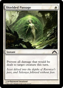 (image for) Shielded Passage (Foil)
