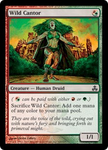 (image for) Wild Cantor