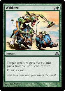 (image for) Wildsize