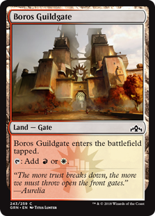 (image for) Boros Guildgate (243)