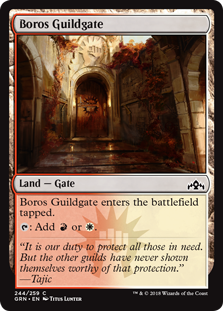 (image for) Boros Guildgate (244)