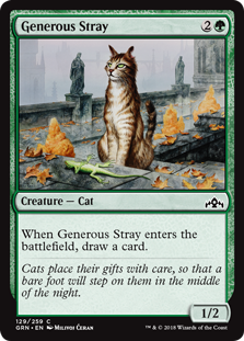 (image for) Generous Stray