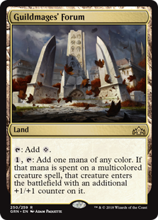 (image for) Guildmages' Forum