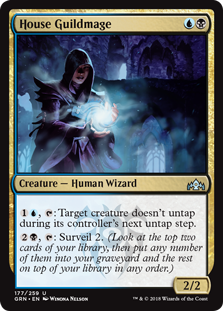 (image for) House Guildmage