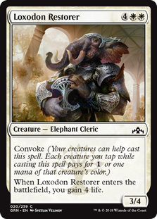 (image for) Loxodon Restorer
