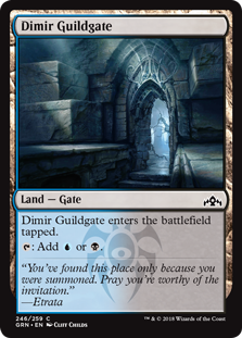 (image for) Dimir Guildgate (246) (Foil)