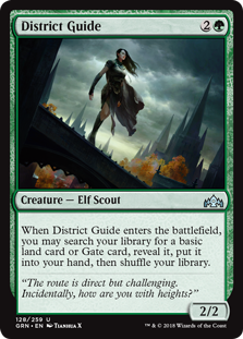 (image for) District Guide (Foil)