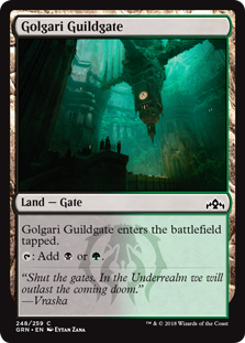 (image for) Golgari Guildgate (248) (Foil)