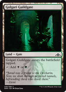 (image for) Golgari Guildgate (249) (Foil)